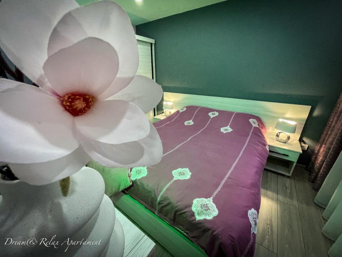 Dream&relax Lupeni-straja *