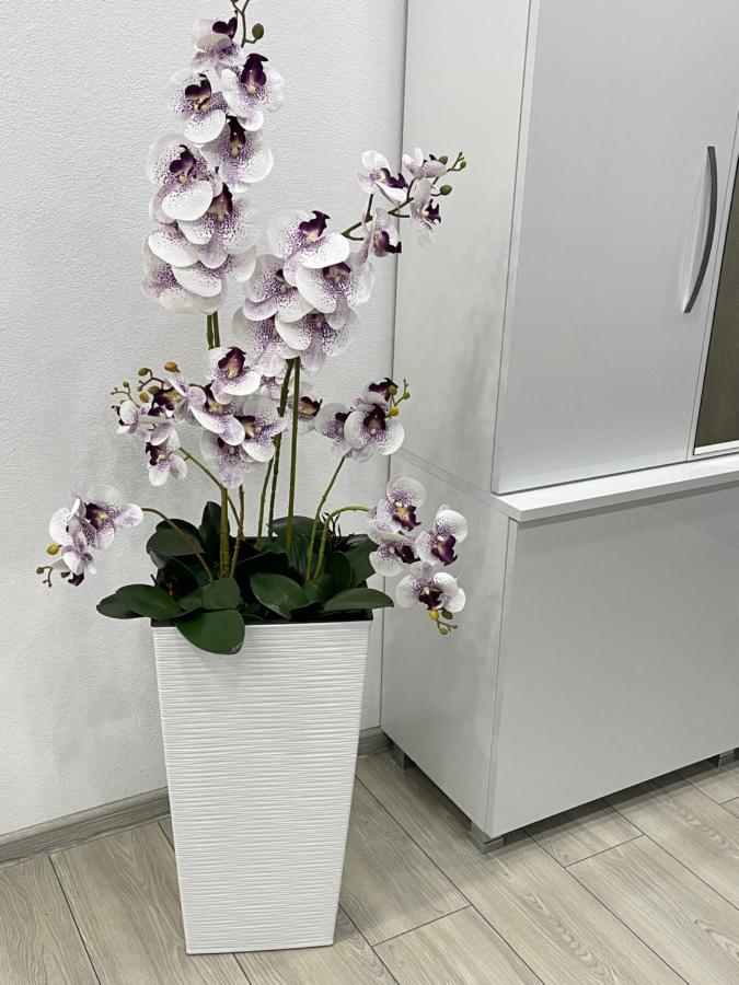 Dream&relax Lupeni-straja Apartamento